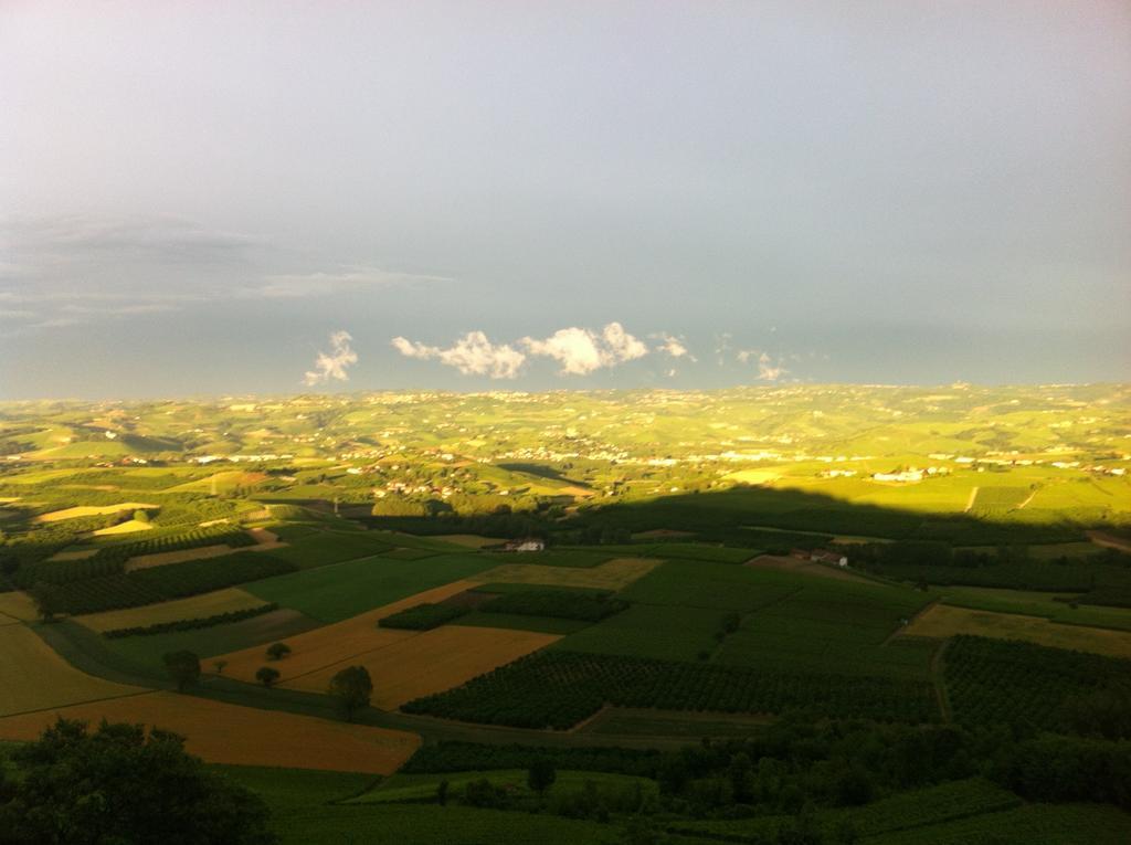La Vigna Del Parroco Leilighet Verduno Rom bilde